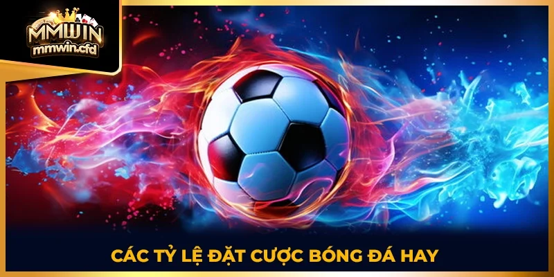 Các tỷ lệ đặt cược bóng đá hay 